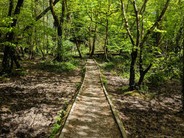 kingswood_walkway1.jpeg