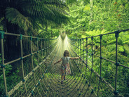 heligan.jpeg