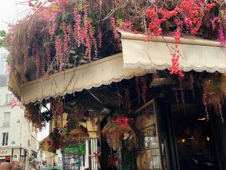 A la découverte de Maison Sauvage