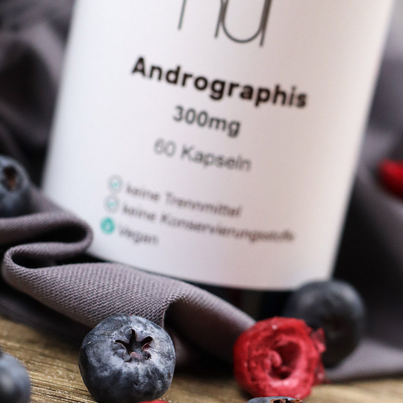 Miniaturbild: NUI Andrographis – Kalmegh Extrakt