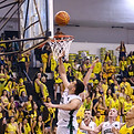 DIMV0456.jpg