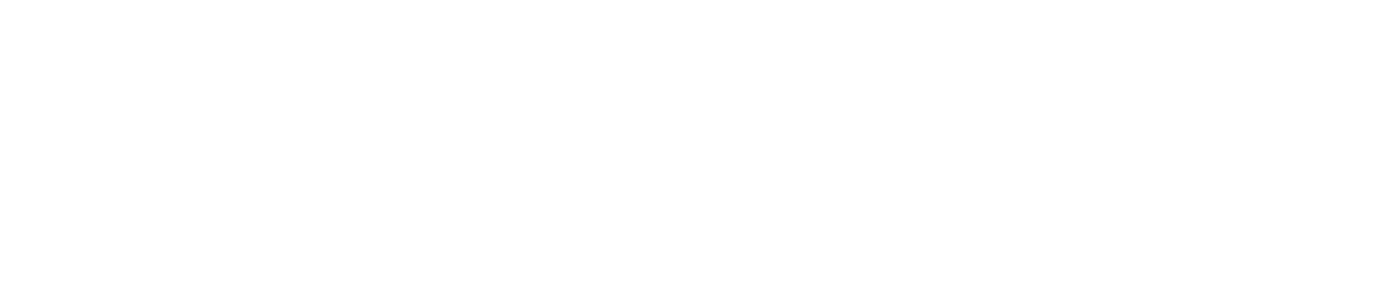 YB Crew Logo - Wide - White.png