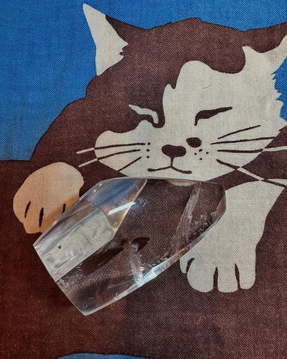 貓咪的冰角