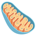image_edited.png