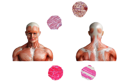 image_edited.png