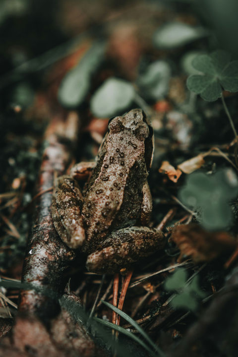 kevin-lehtla-LZmpWkWyKsE-unsplash.jpg