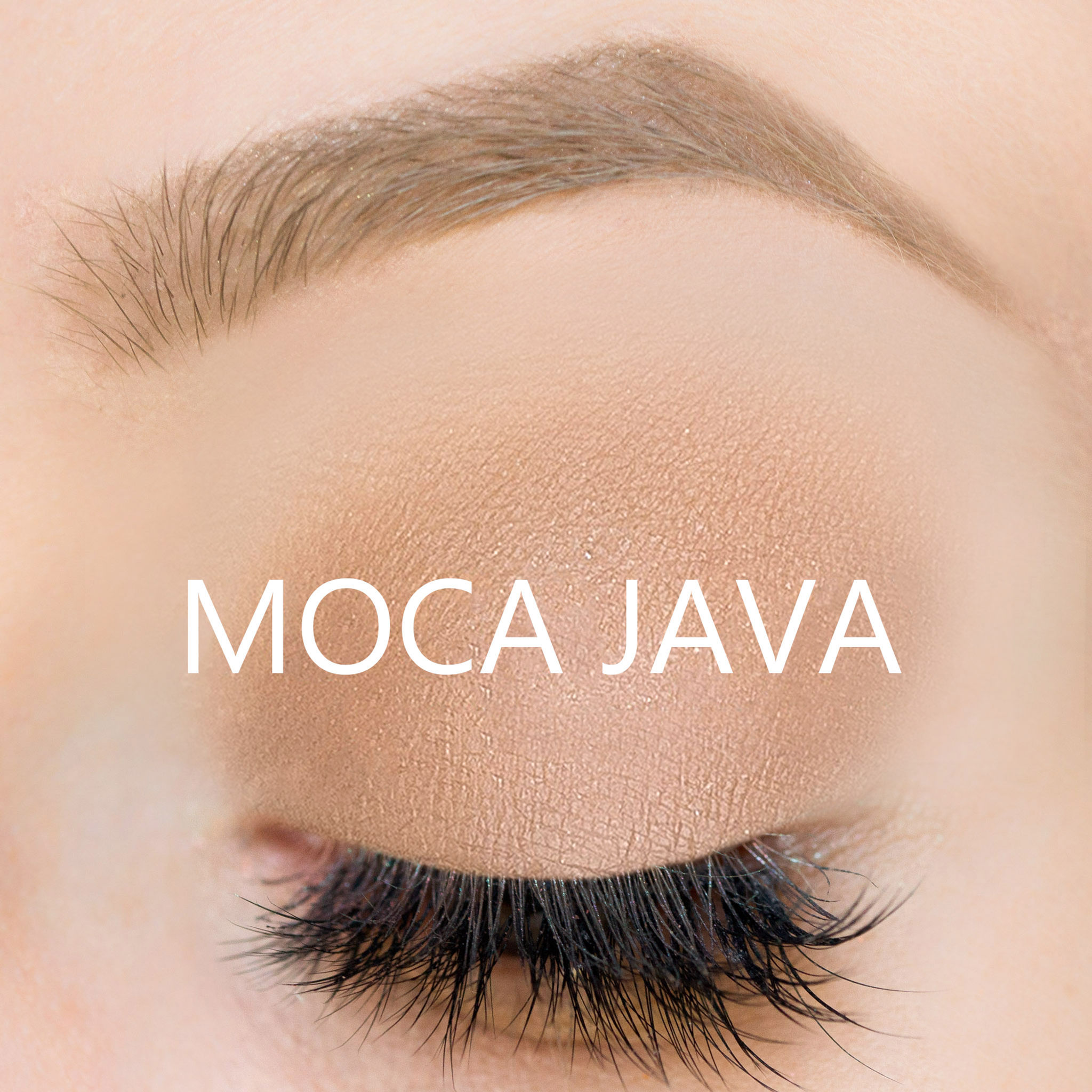 Mocha Java ShadowSense