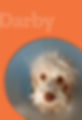 darby.jpg