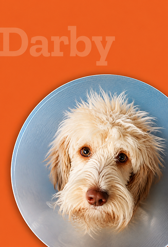 darby.png