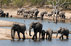 Ulusaba
