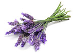 Lavender Aroma at Troy City Cryolounge Oxygen Bar