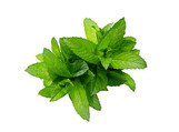 Spearmint Aroma at Troy City Cryolounge Oxygen Bar