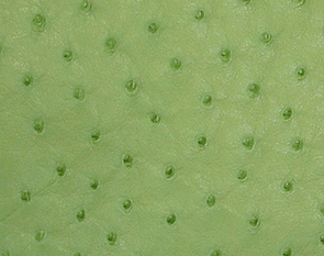 Ostrich Patte Green.png