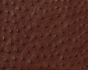 Ostrich Bordeaux.png