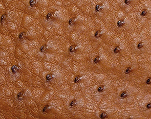 Ostrich Cognac.png