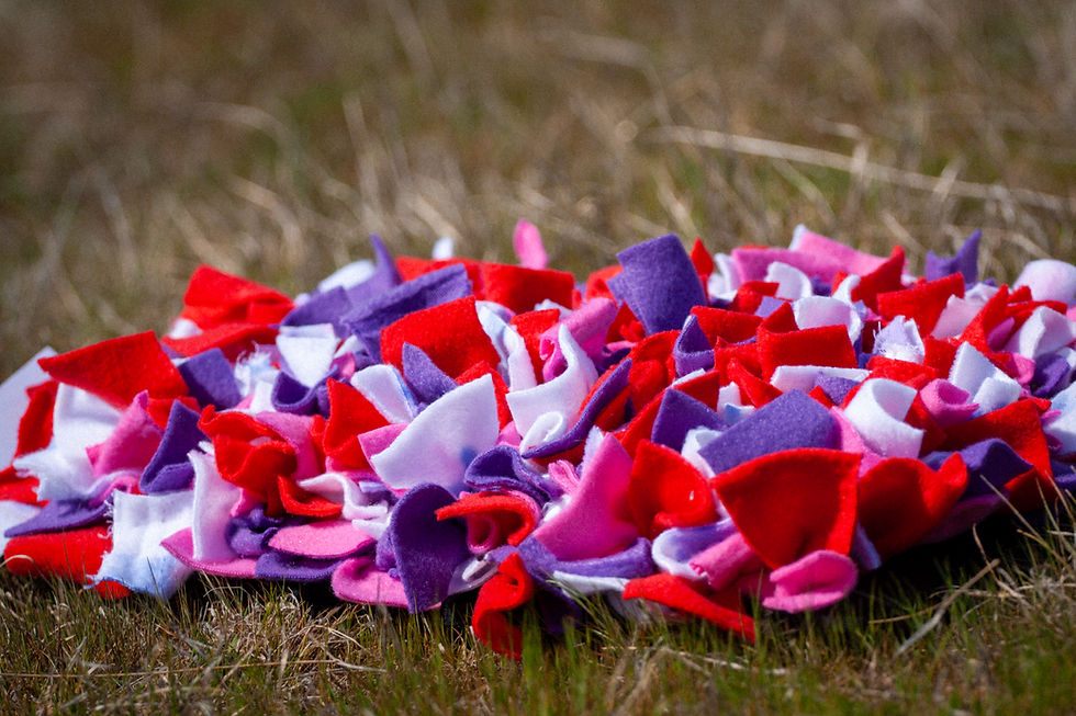 Thumbnail: Snuffle Mat (Fleece)