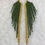 Miniaturbild: Army Green Gold Stripe