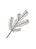 65.png