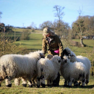 Winter with the animals | Hannah Russell