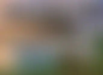 Minecraft 1.21.120.20 for Android and Windows