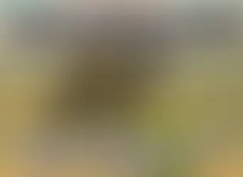 Minecraft 1.21.130.27 for Android