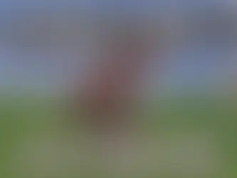 Minecraft 1.21.130.26 for Android