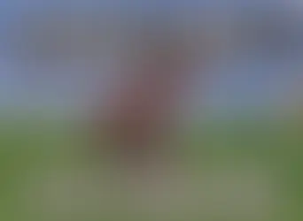 Minecraft 1.21.130.26 for Android