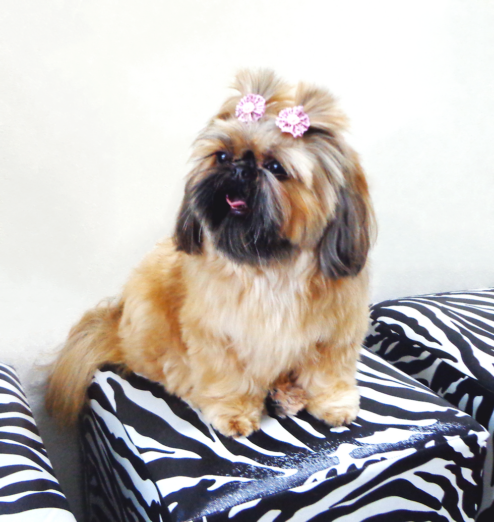 LOLA 04