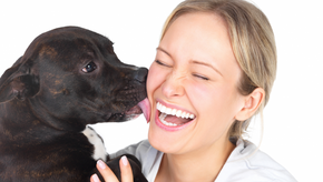 11 formas do cachorro demonstrar amor pelo dono