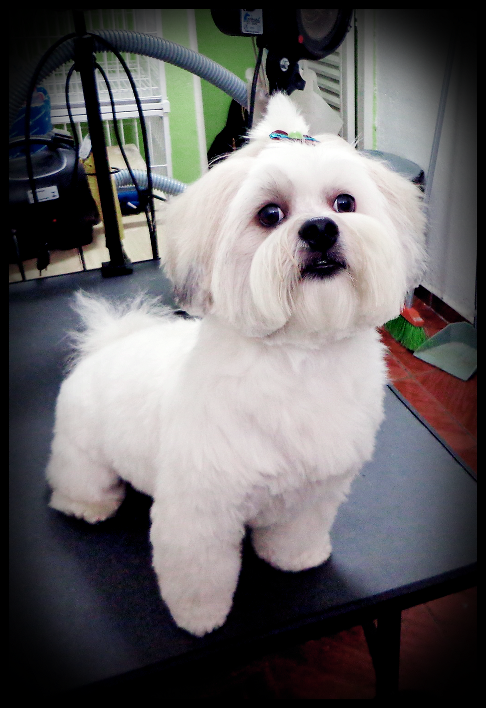 Marlon 03