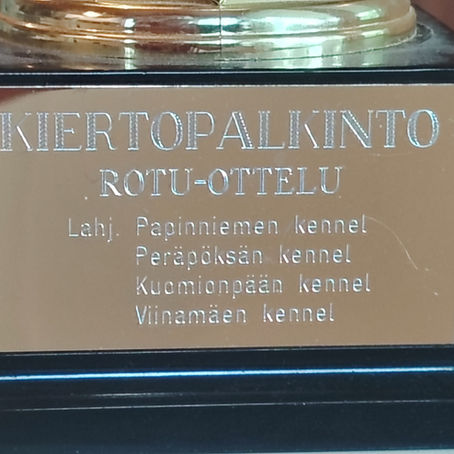 Rotuottelu 24.9.2026