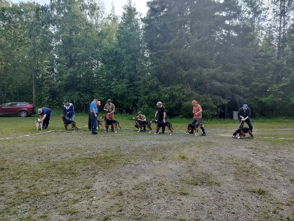 Näyttelytreenit Mikkeli