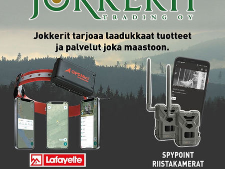 Jokkerit