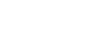 Heineken-Logo.png
