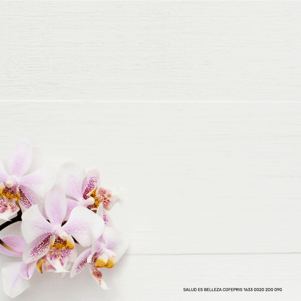 serum_celulasmadres_pielseca_pielmixta.g