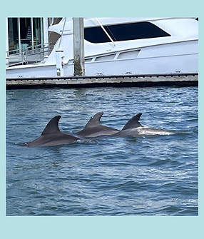 Untitled design.jpg.JPG