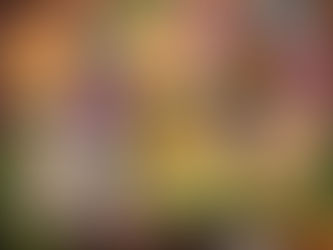 Spring Break in Goa: Best Experiences Beyond the Beaches