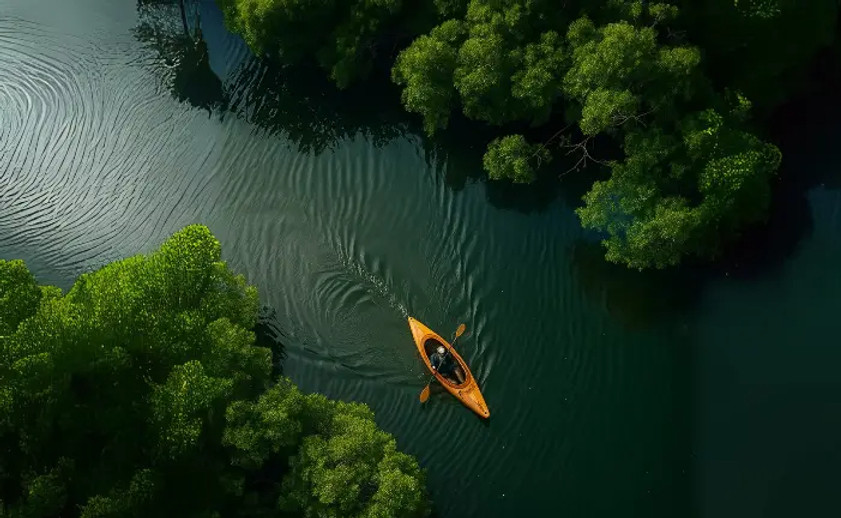 Screenshot 2025-10-01 144146_edited.jpg