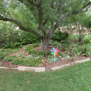 Hosta Garden
