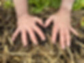 Hands Pressed on Soil