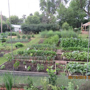Raised Beds