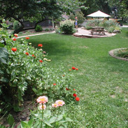 Zinnia Garden
