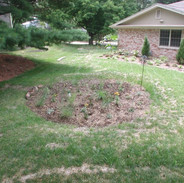 Rain Garden