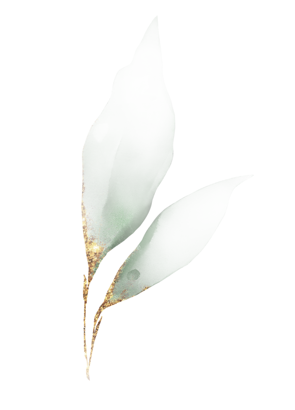 t (7).png