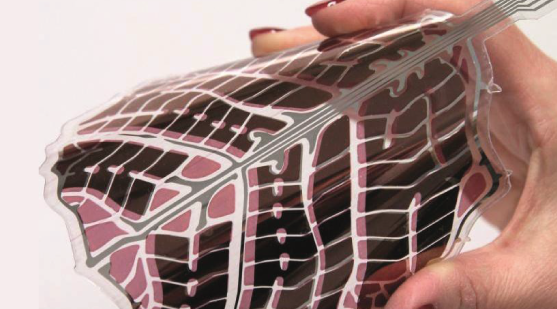 Bajo la luz de los paneles