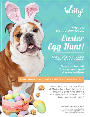 egg hunt.jpeg