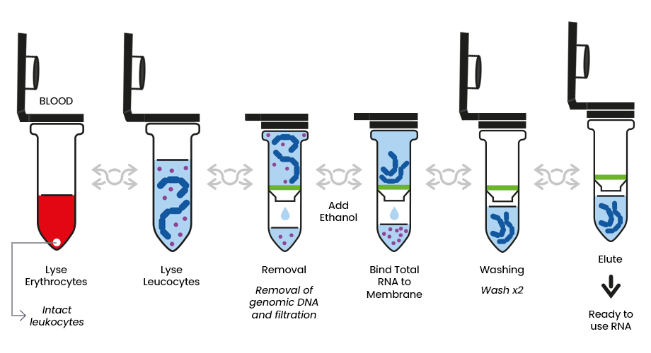 Konsep Ekstraksi RNA
