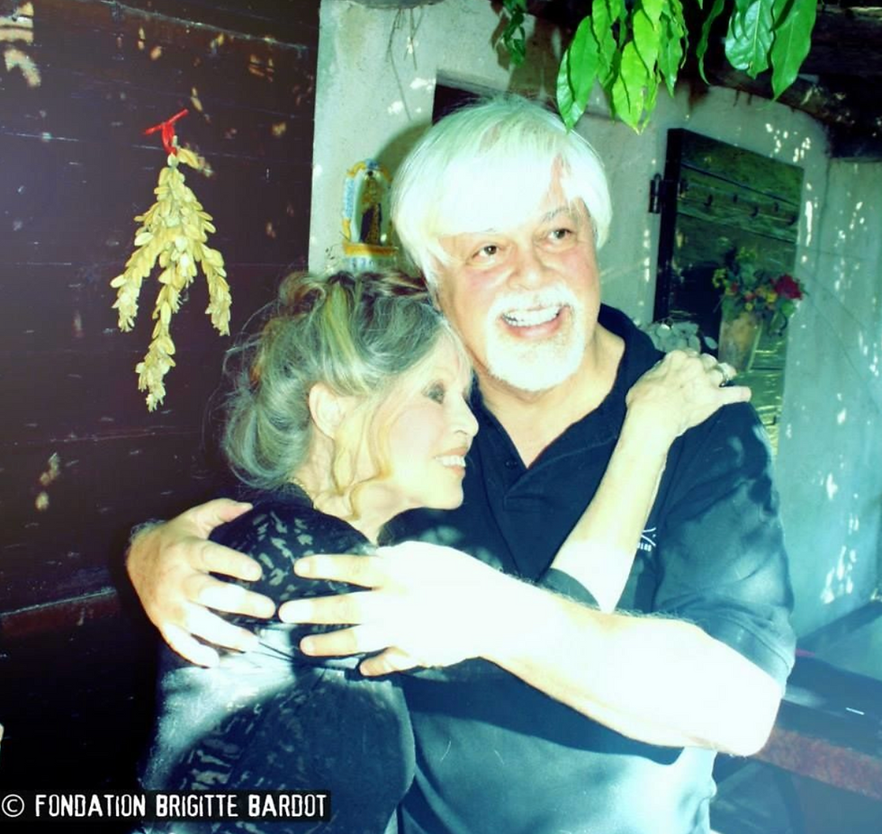 The Misunderstood Compassion of Brigitte Bardot