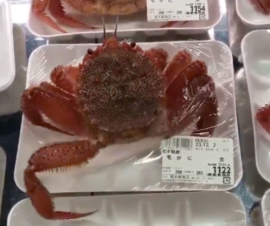 crabe