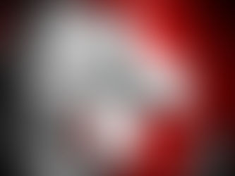 L’essence du phénomène «Suisse»